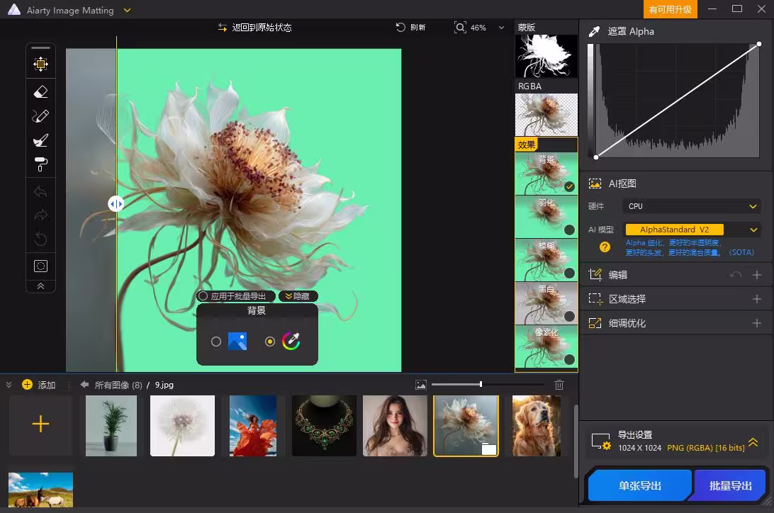 抠图不求人！Aiarty Image Matting 黑五特惠，为效率工作者打造的精准抠图方案 4