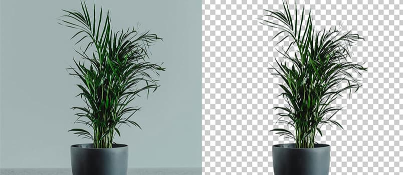 抠图不求人！Aiarty Image Matting 黑五特惠，为效率工作者打造的精准抠图方案 1