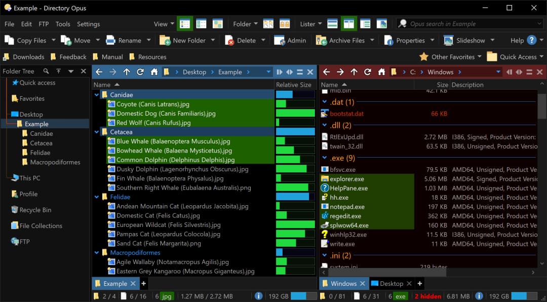 增强型文件管理器 Directory Opus 13 限时 85 折，买断只要 160.65 元 4