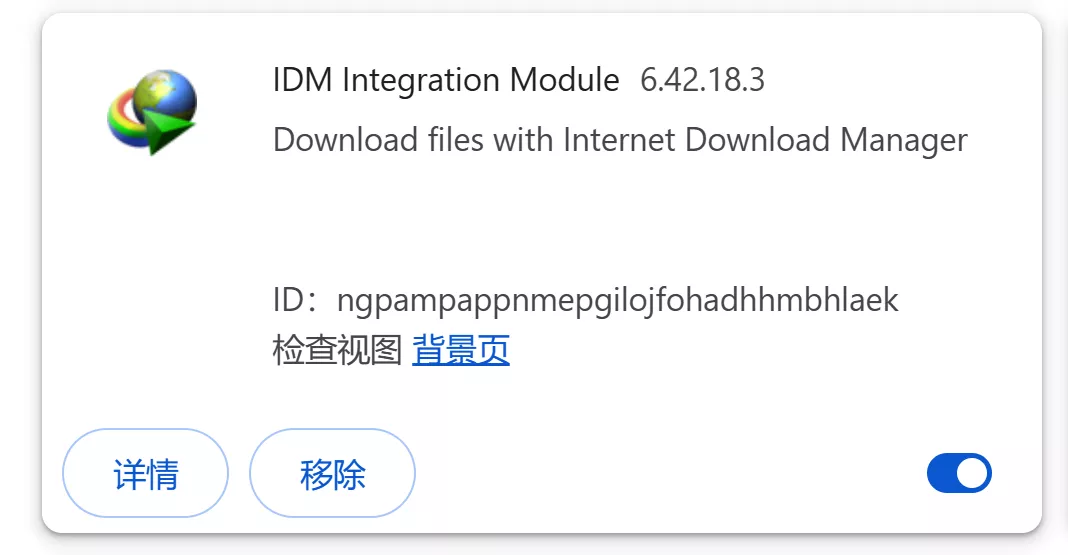 IDM 下载神器!最新安装教程,彻底去除烦人的升级弹窗、提醒!插图3 8db4c94d0820251103101939