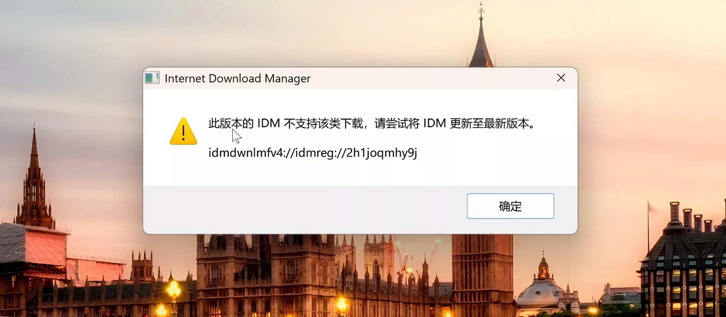 图片[2]-IDM 下载神器！6.42 免安装版，去除烦人的升级弹窗、提醒！-零度博客