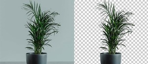 抠图不求人！Aiarty Image Matting 黑五特惠，为效率工作者打造的精准抠图方案-三七九技术汇