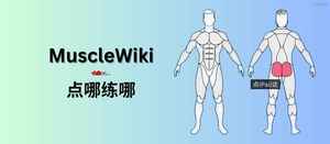 MuscleWiki – 点哪练哪，免费视频健身指南-三七九技术汇