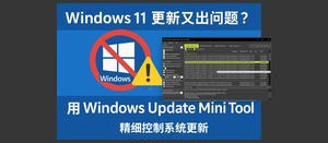 Windows 11 更新又出问题?用 Windows Update Mini Tool 更精细的控制更新-三七九技术汇